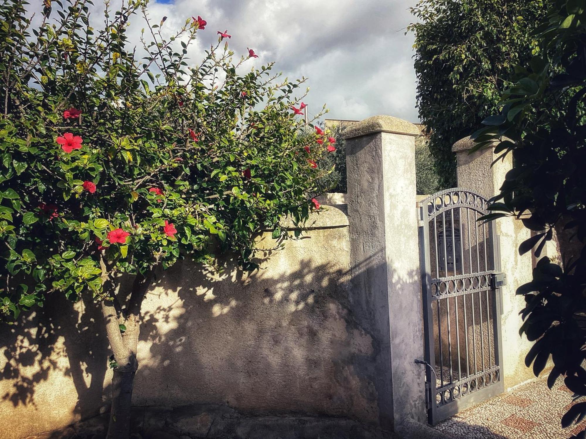 Villa Silvana Mazara del Vallo Dış mekan fotoğraf