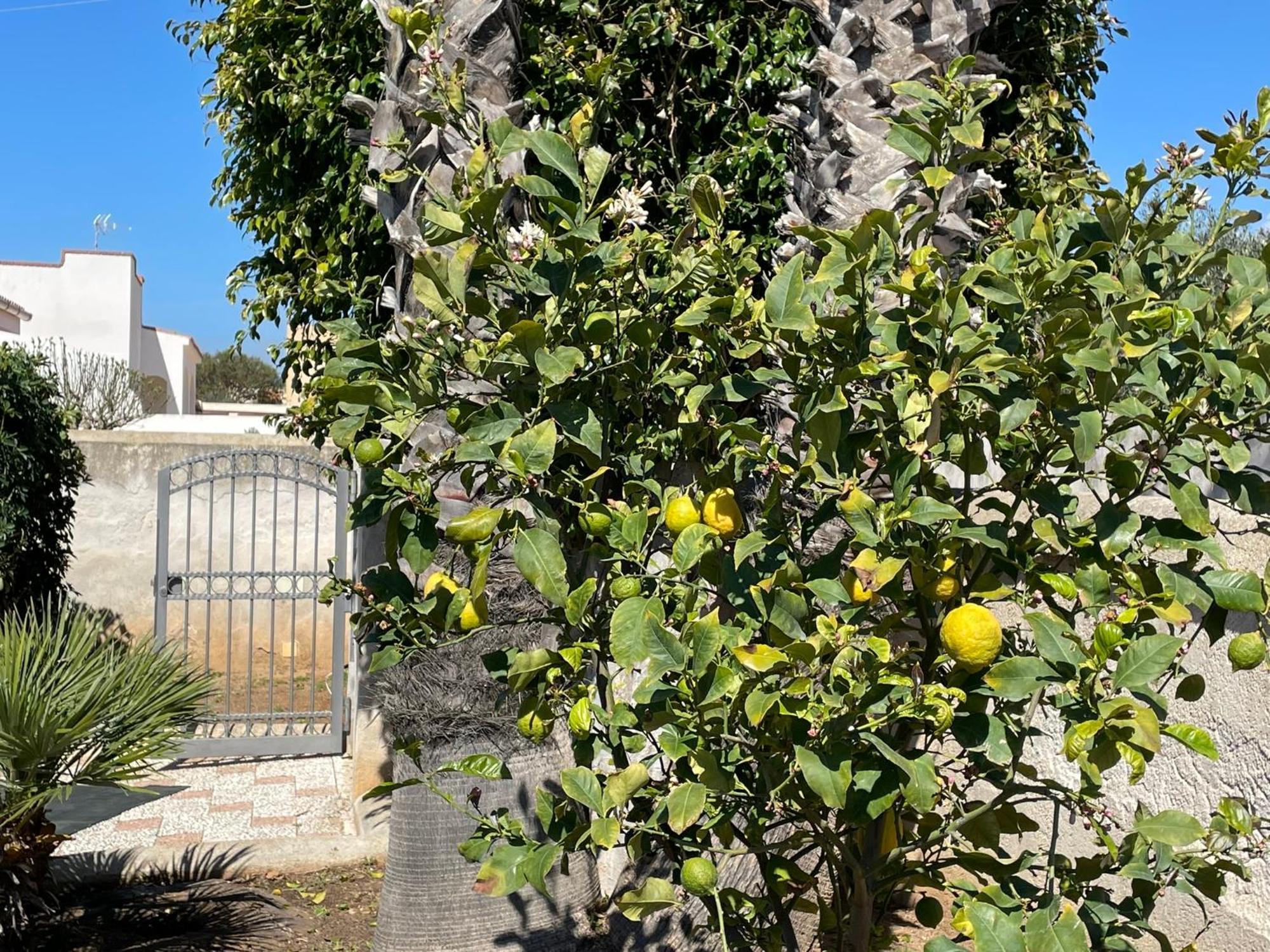 Villa Silvana Mazara del Vallo Dış mekan fotoğraf